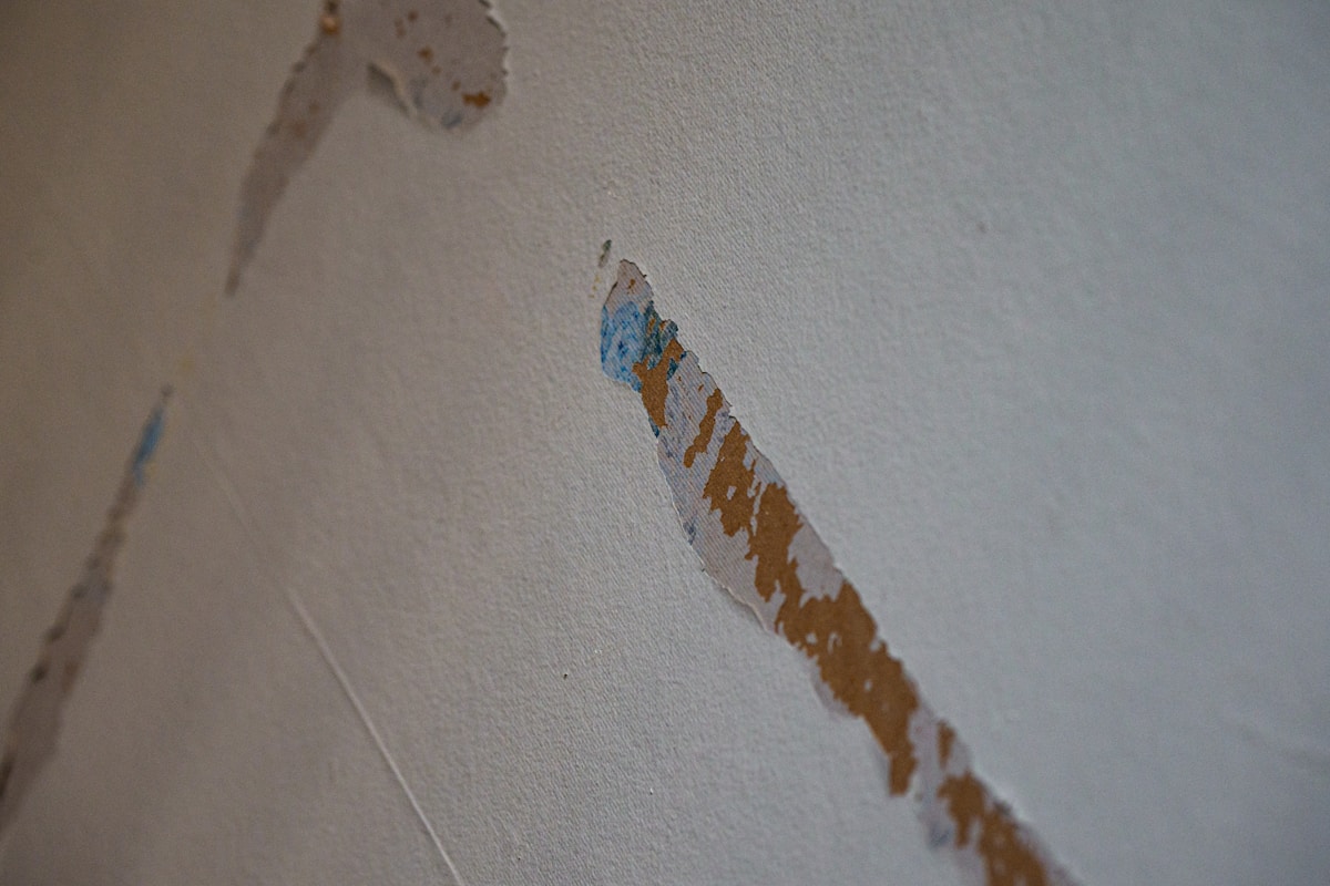 Water Extraction service in Chula Vista, CA